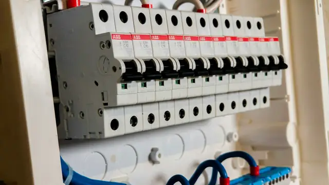 Electrical panel with circuit breakers